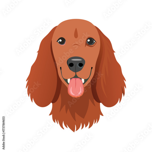 Portrait of an adorable irish setter