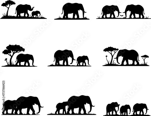 Elephant Family and Herd Silhouettes with Reflections