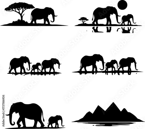 Elephant Family and Herd Silhouettes with Reflections