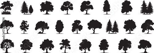 tree silhouette vector, forest tree shapes, black nature clipart, botanical plant svg, woodland design art, green tree outline, outdoor landscape graphic, natural tree illustration, minimal forest art