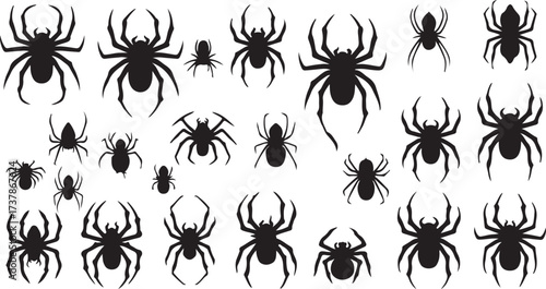 spider silhouette vector, creepy insect design, black spider clipart, halloween insect svg, scary bug artwork, web creature illustration, crawling spider art, insects collection graphic, wild spider s