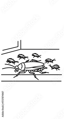 Cockroaches Crawling on Floor.