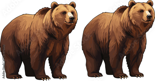Two brown bears illustration, realistic wildlife art, forest animals, shaggy fur texture, muscular build, natural stance, side by side, wild mammals