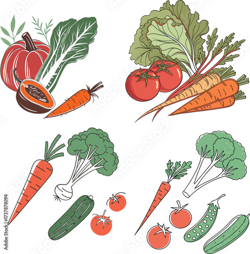 Organic farm vegetables illustration with tomato broccoli cucumber carrot and radish