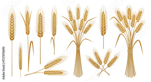 Collection of decorative wheat ears and stalks in various arrangements.