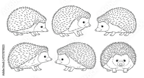 Six adorable prickly little hedgehogs in different poses looking very cute.