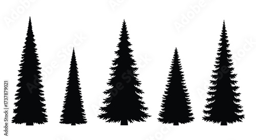 A collection of black silhouettes of evergreen coniferous trees of various sizes.