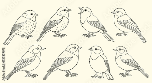 A group of eight small sparrows perched on a branch in an artistic sketch.