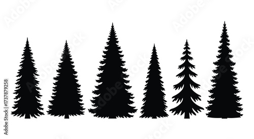A collection of silhouetted pine trees of varying heights and sizes.