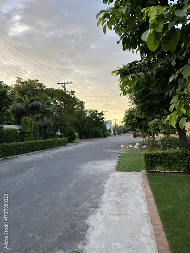 Wallpaper Mural Serene suburban street at dusk with lush trees and soft sky, offering peaceful residential tranquility and quiet neighborhood charm. Torontodigital.ca