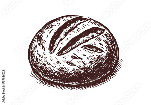 Sourdough bread hand drawn sketch vector illustration