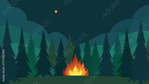 Campfire burning in a forest at night time