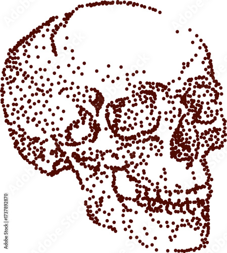 Pointillism skull illustration for anatomy design