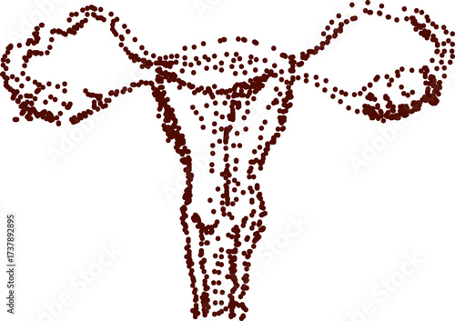Female reproductive system uterus dot drawing
