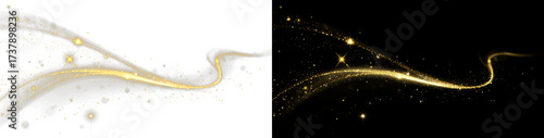 Fényképezés Brilliant luxury light wave, twirling shine, fantasy glow background, sparkling fire effect, black trail, curved magic beam, golden dust overlay