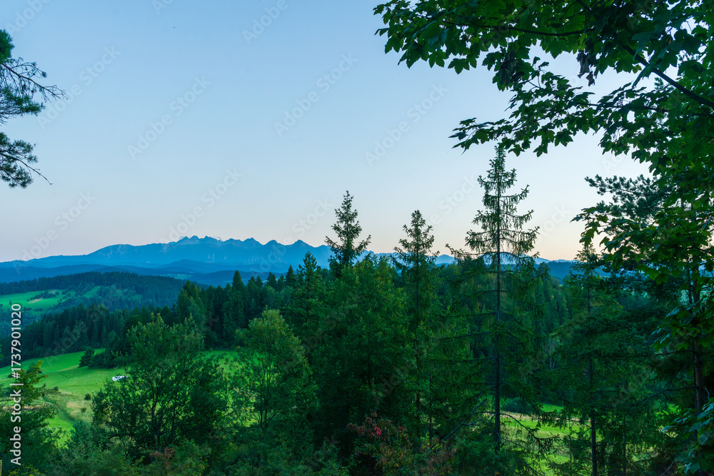 Obraz premium A scenic view of green meadows and dense forests with a mountain range in the distance. Soft evening light enhances the calm atmosphere of this rural natural landscape.