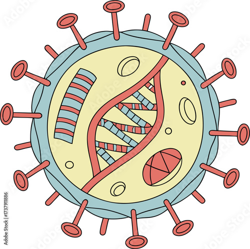 Dynamic microscopic virus illustration with DNA helix and internal cellular structures, representing contagion and scientific research discovery