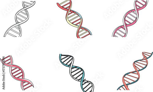 Vibrant DNA helix illustrations symbolizing life, science, and genetic research discovery, perfect for educational and medical projects.