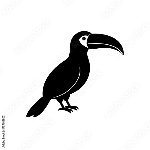 Black Toucan Vector Illustration