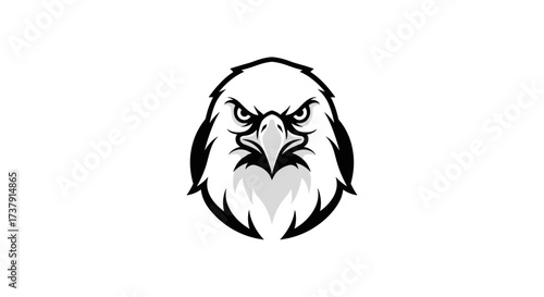 Black and white eagle head facing forward flat illustration