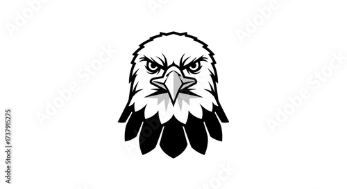 Front view of black and white eagle head mascot logo flat illustration
