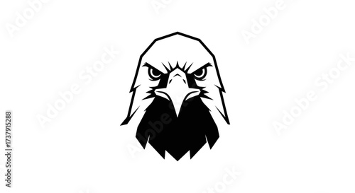 Intense black and white eagle head facing forward flat illustration