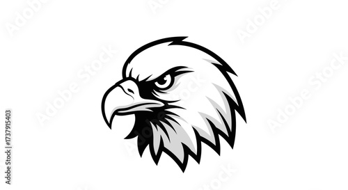 Stylized black white eagle head looking forward flat illustration