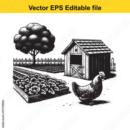 Vector art of farm scene with chicken, garden, tree, and shed