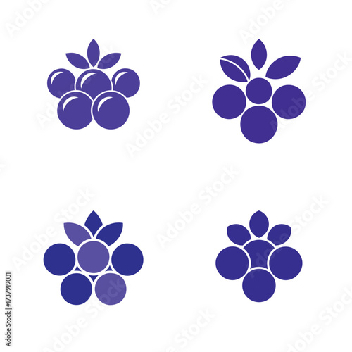 Stylized blueberries and grapes in a simple graphic design