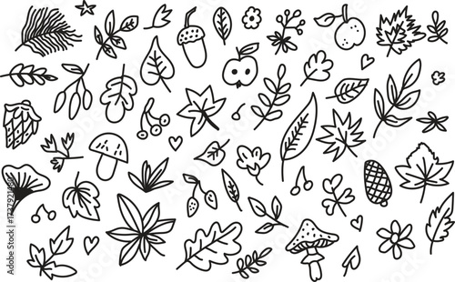 Hand drawn doodle leaves nature icons sketch collection vector set