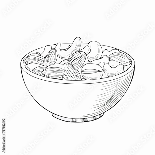 A detailed sketch of a bowl filled with a variety of nuts, including almonds and cashews.