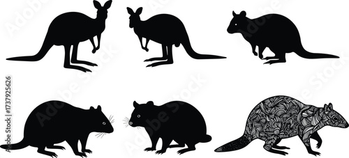 Kangaroo, wallaby, and rodent animal silhouettes, wildlife mammals collection, decorative patterned mouse design, black vector illustration, educational zoology art.