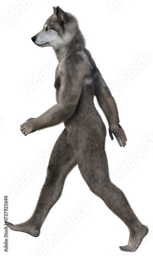 Gray anthropomorphic wolf or werewolf walking fast. 3d rendering on transparent background, no AI used