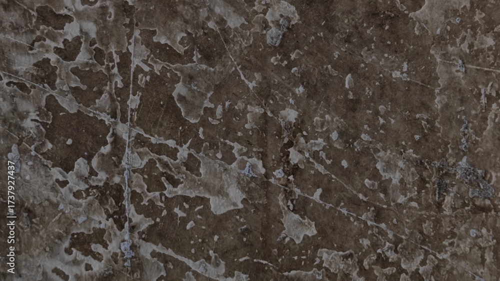 Fototapeta premium texture of the old wood. old wood texture. Grunge black and white abstract dirty textured background. Scratch lines over background. Noise and grain. Scratch texture. Splashes of paint. Distress urban