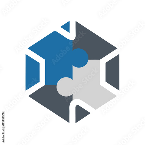 Hexagonal puzzle pieces forming a geometric shape