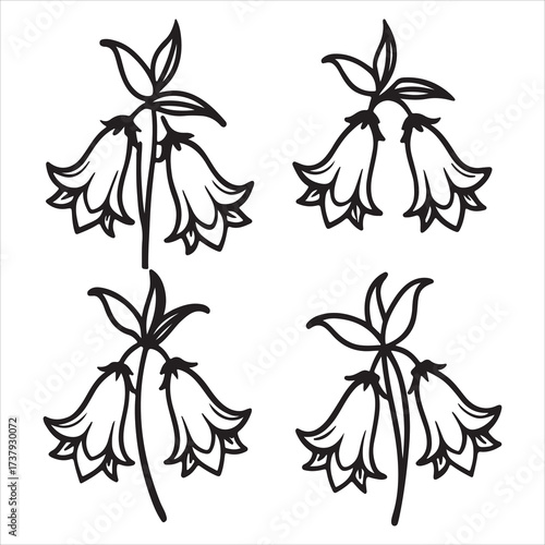A Tall Elegant Campanula Flower, the Classic Cottage Garden Biennial Known as Canterbury Bells for its Vertical Bell shaped Summer Bloom