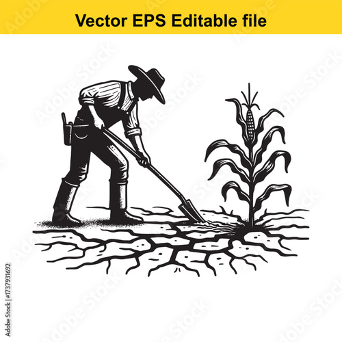 Vector art of farmer tending to a corn plant in a dry field