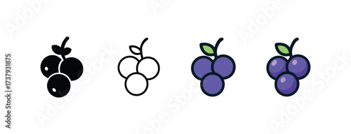 Vector icon blackcurrant same pose same proportions four styles black solid glyph outline minimal flat multicolor filled cartoon flat shaded.