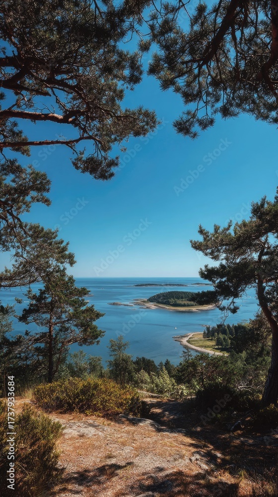 Obraz premium Coastal landscape framed by trees under a clear, bright blue sky