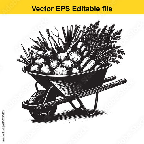 Vector art of wheelbarrow full of fresh vegetables