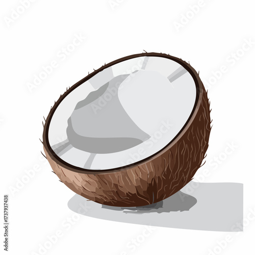 A realistic illustration of a halved coconut with its brown fibrous husk and white flesh visible, casting a shadow.