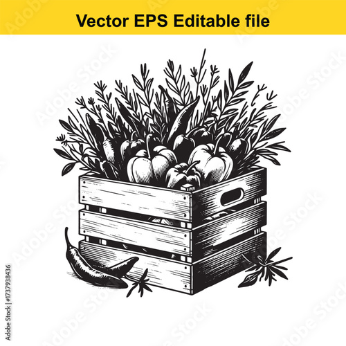Vector art of wooden crate filled with fresh vegetables and fruits