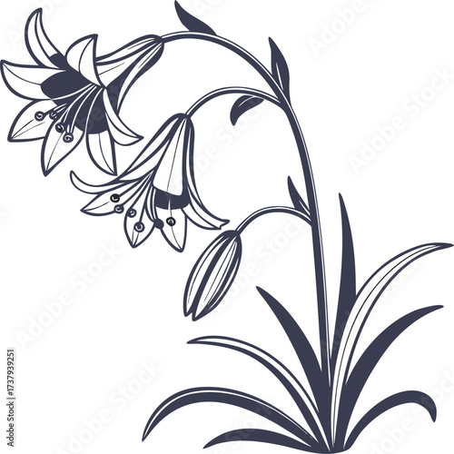 Simple stonecrop flower silhouette vector icon on a white background
