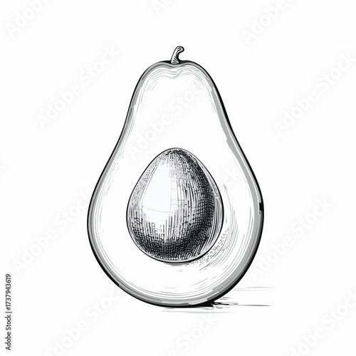 A detailed sketch of a ripe avocado cut in half, revealing its large central seed and creamy flesh.