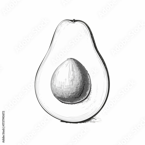 Black and white sketch of an avocado cut in half, showing the pit and internal texture.