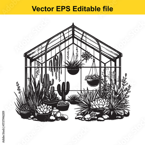 Vector art of black and white illustration of a greenhouse with various succulent plants
