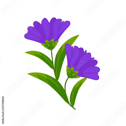 the  most beautiful flower vector