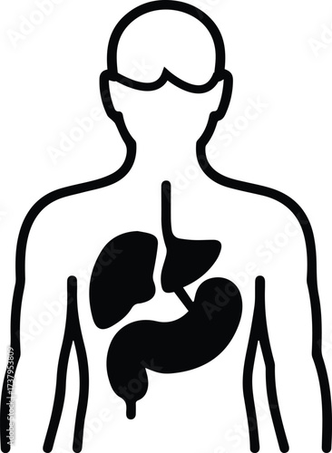 Human body anatomy outline with internal organs digestive respiratory systems