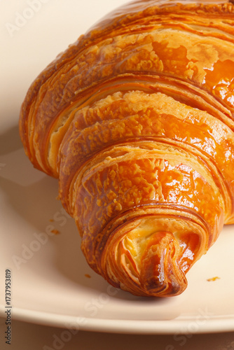 a large croissant on a white plate