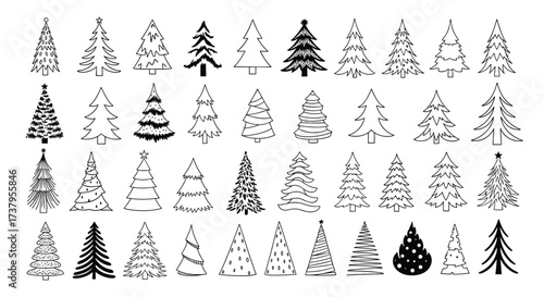 A collection of hand drawn festive evergreen tree illustrations in various styles.